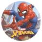 Preview: Essbarer Tortenaufleger "SPIDER-MAN" 20 cm